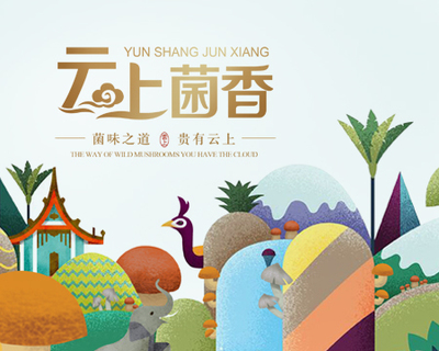 云上菌香品牌策略与设计